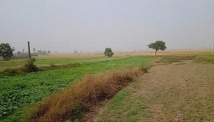 5394+M25, Gangta, Jhakhar, Bihar 811311, India