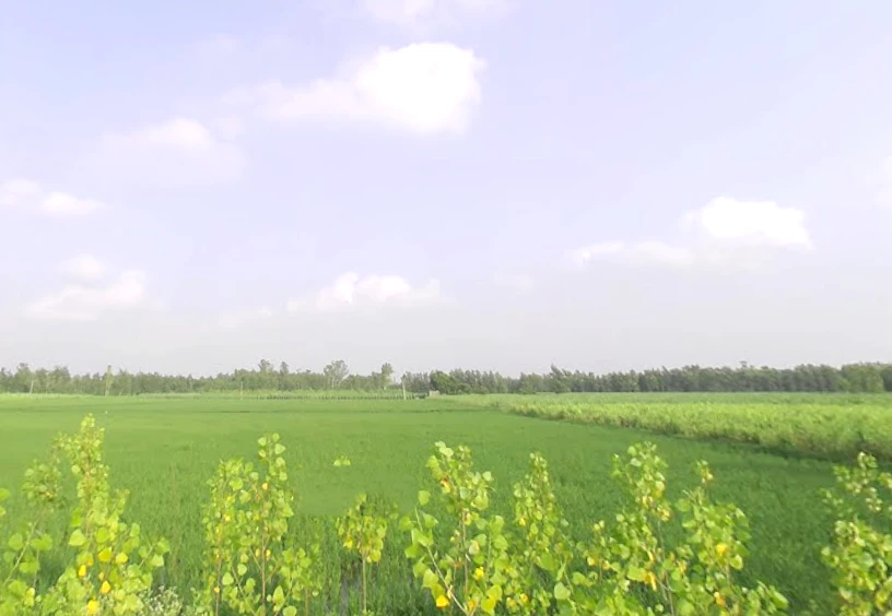 Sarsawa, Uttar Pradesh 247232, India