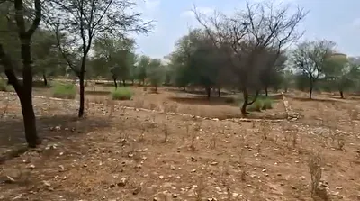 2Q6M+XM, Harmada, Jaipur, Rajasthan 302013, India preview 2