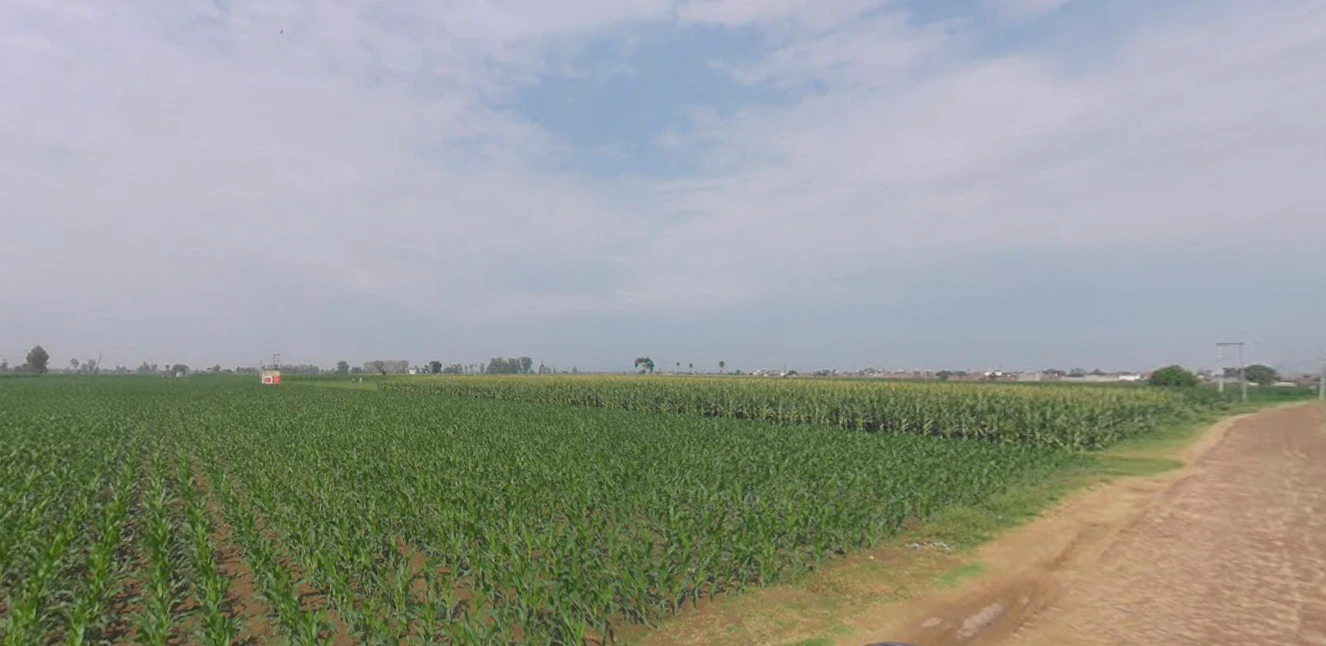 Chandpur, Uttar Pradesh 246725, India