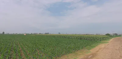 Chandpur, Uttar Pradesh 246725, India preview 3