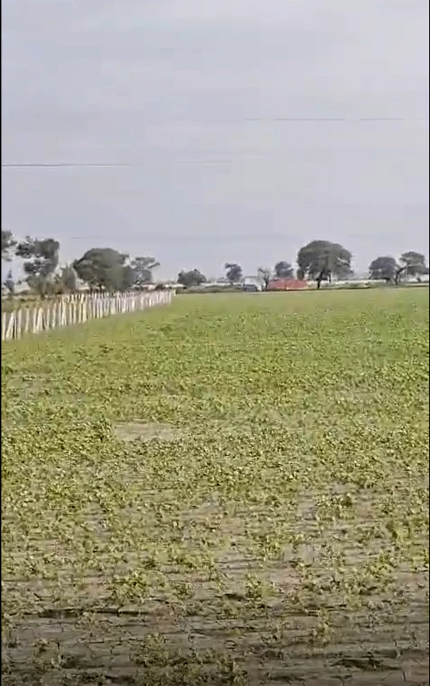 Tansen, Gwalior, Madhya Pradesh, India
