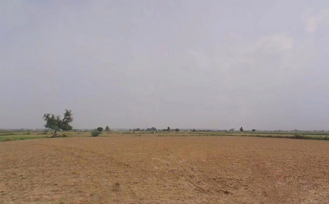 J64C+JPH, Bas Laddooka, Rajasthan 321022, India