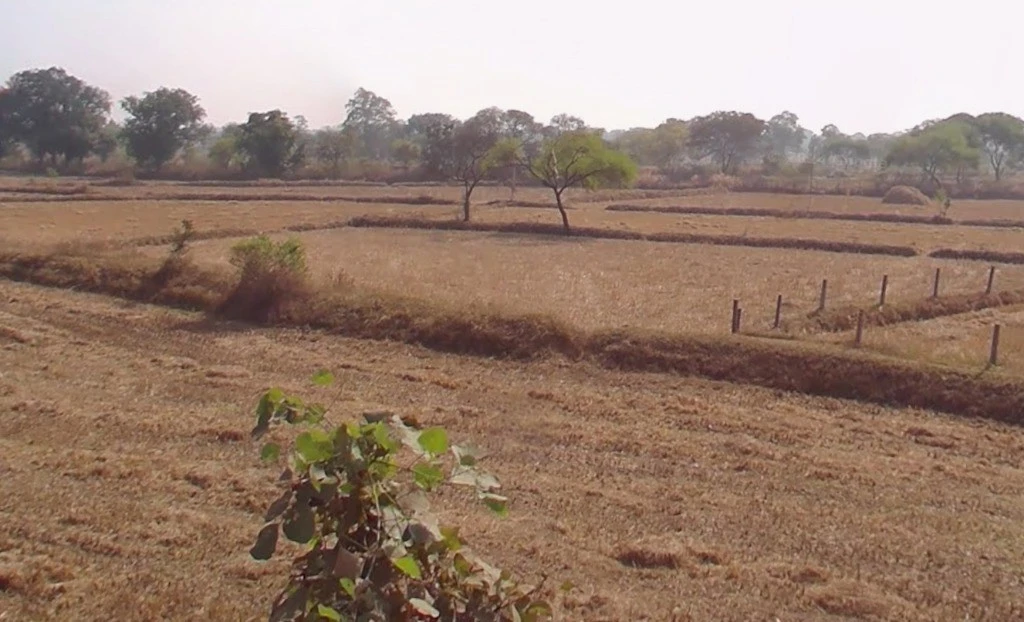 Murlidih, Chhattisgarh, India