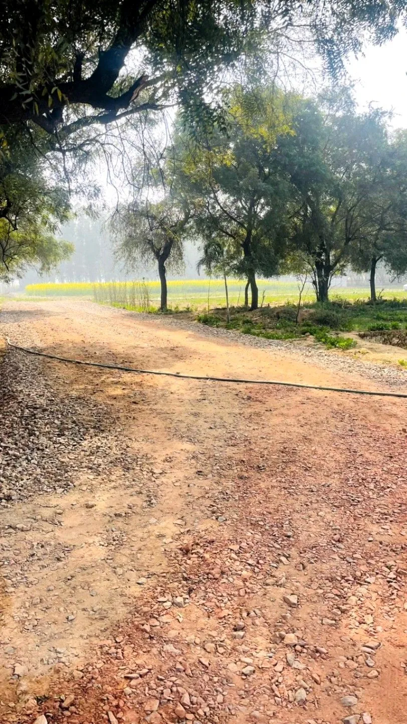 Sector 99A, Gurugram, Haryana 122505, India