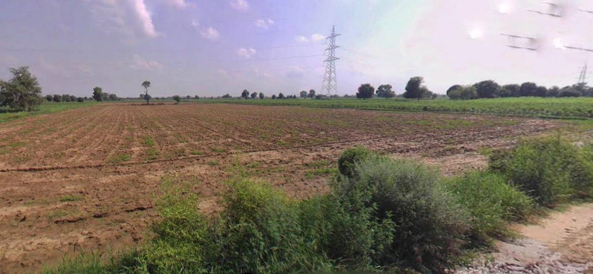 Barwala, Haryana 125121, India