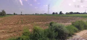 Barwala, Haryana 125121, India preview 2