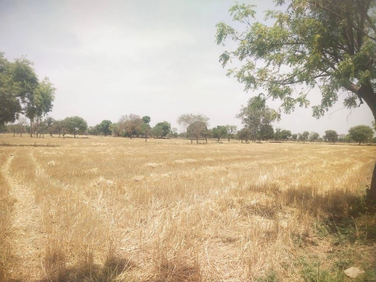 Gyaraspur, Madhya Pradesh 464331, India preview 2