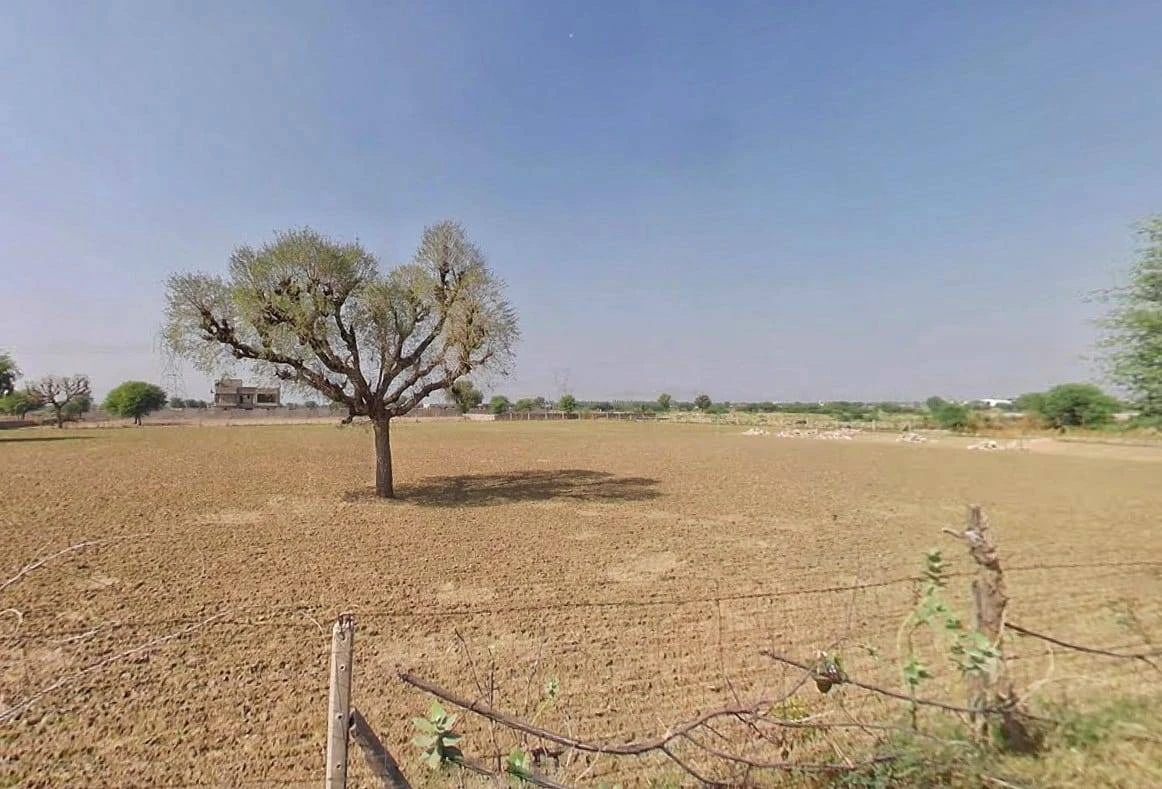 RF4F+W9 Mahlan, Rajasthan, India