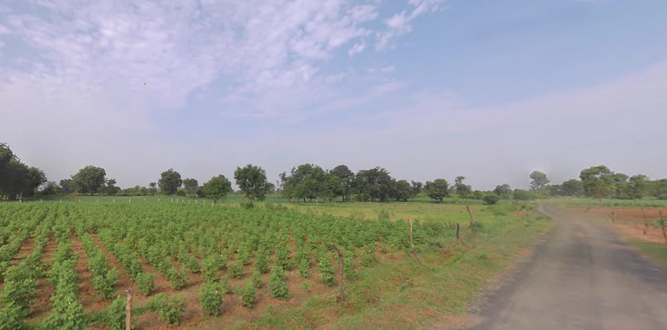 7WF9+98 Sawali bk, Maharashtra, India