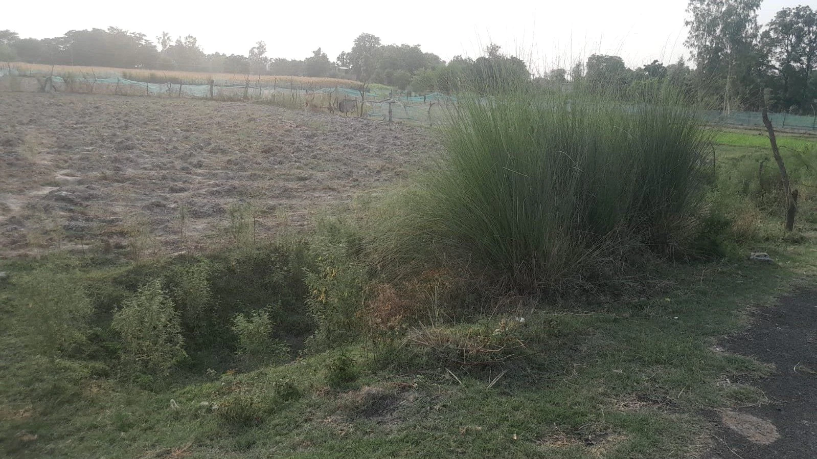 M4P3+35 Sathri, Uttar Pradesh, India