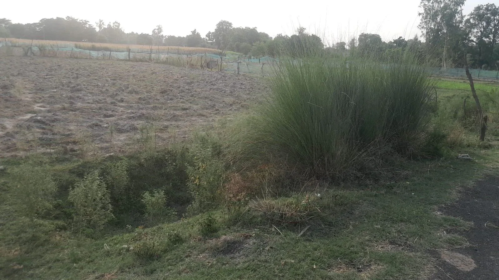 M4P3+35 Sathri, Uttar Pradesh, India