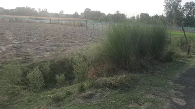 M4P3+35 Sathri, Uttar Pradesh, India preview 2