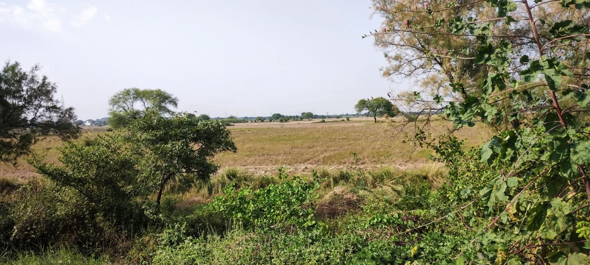 Nagla Chahar, Rajasthan 321203, India