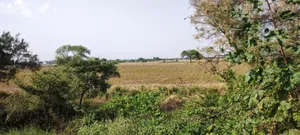 Nagla Chahar, Rajasthan 321203, India preview 2