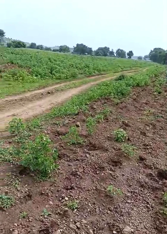Shivnagar, Indore, Madhya Pradesh 452020, India