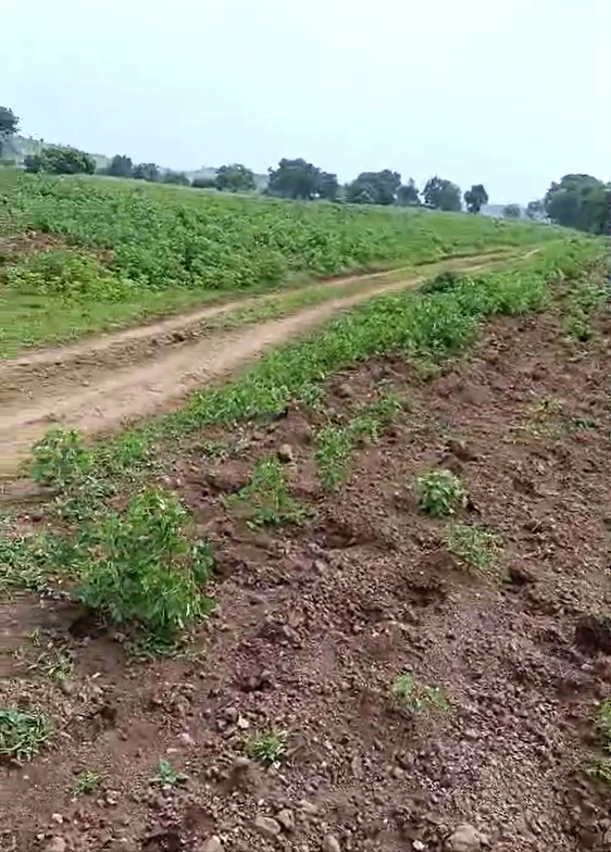 Shivnagar, Indore, Madhya Pradesh 452020, India