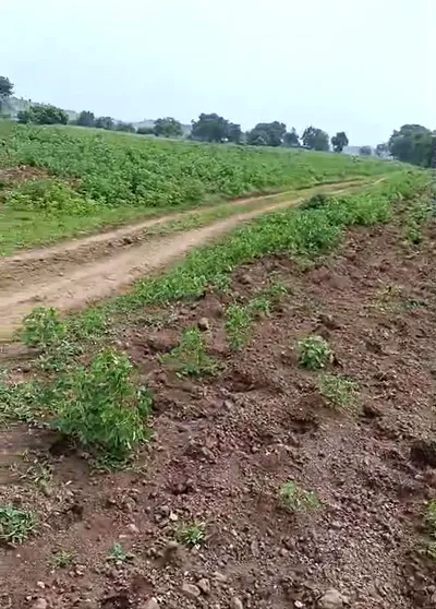 Shivnagar, Indore, Madhya Pradesh 452020, India preview 3