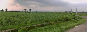 Sahaspur, Uttarakhand 248197, India preview 3
