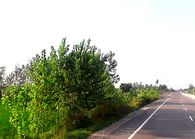 Sona Arjunpur, Uttar Pradesh 247451, India preview 2