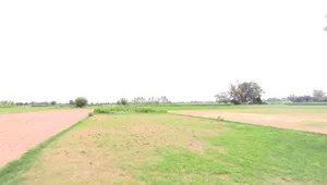Sankota, Madhya Pradesh, India preview 2