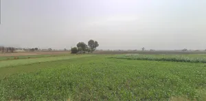 8F4F+29 Ambavpura, Gujarat, India preview 3