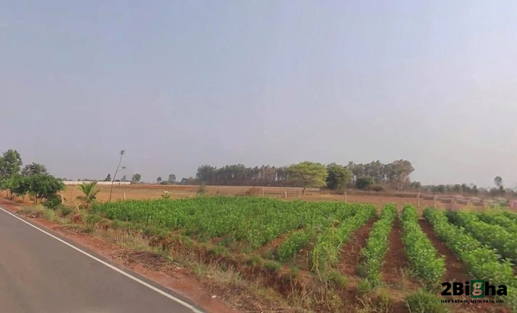 NH-8, Mahapura Rd, Bhakrota, Jaipur, Hasampura, Rajasthan 302026, India