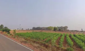 NH-8, Mahapura Rd, Bhakrota, Jaipur, Hasampura, Rajasthan 302026, India preview 2