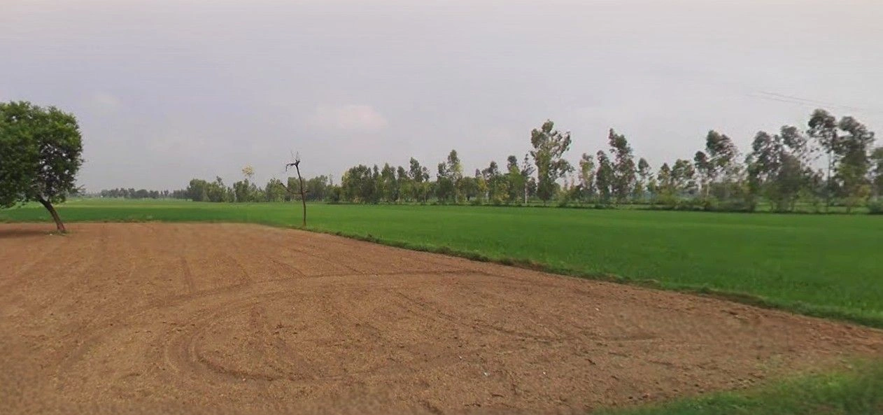 Sikandrabad, Uttar Pradesh 203205, India