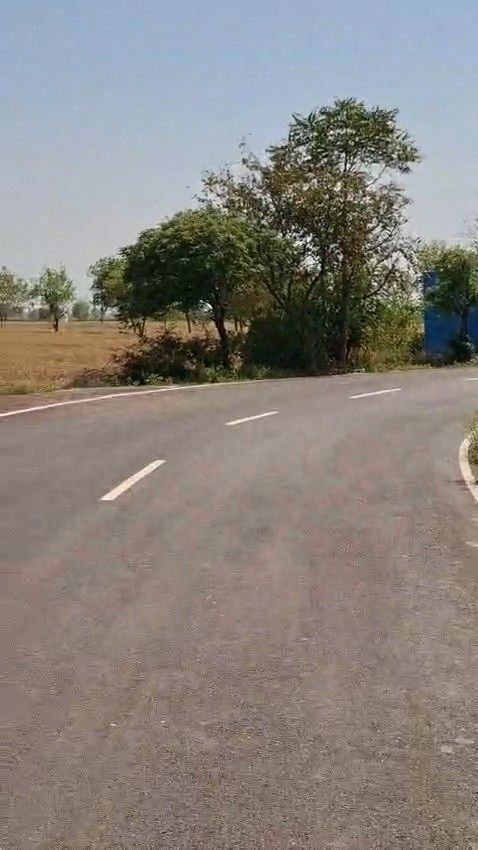 Sherpura, Sirsa, Haryana 125110, India