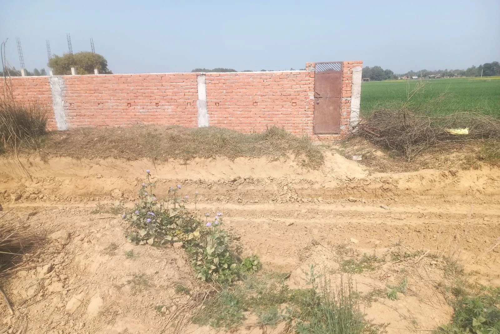 HQXV+J9X, Keoni, Uttar Pradesh 209859, India