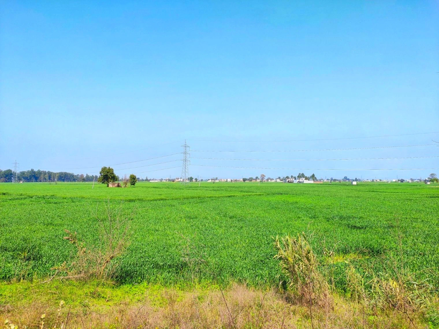 Danta Ramgarh - Ringus Rd, Rajasthan, India