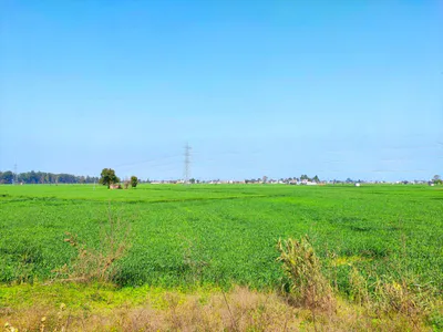 Danta Ramgarh - Ringus Rd, Rajasthan, India preview 2