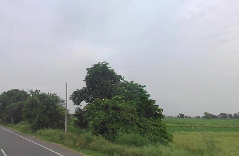 Puttha Rd, Rithani West, Phase-II, Industrial Area, Mohkam Pur, Meerut, Uttar Pradesh, India