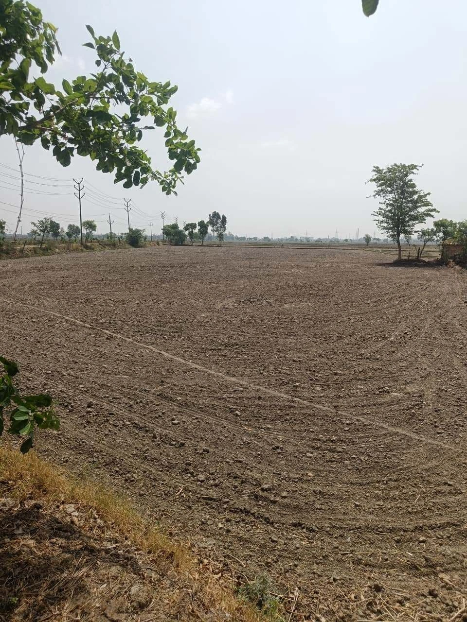 Aou, Rajasthan, India