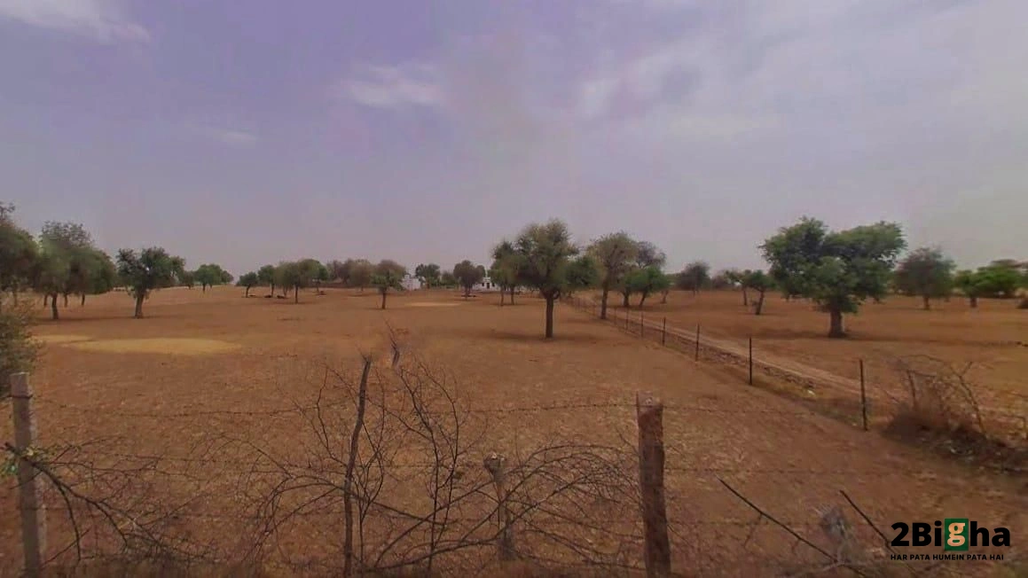 Khatauli, Uttar Pradesh 251201, India