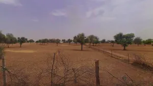 Khatauli, Uttar Pradesh 251201, India preview 3