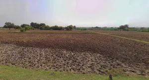 Nuh, Haryana 122107, India preview 2