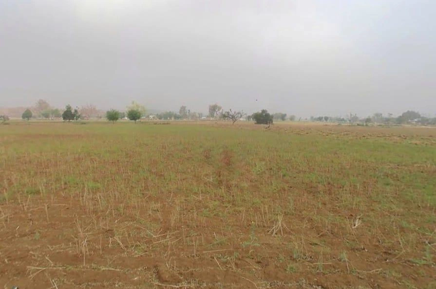 RJ SH 25, Chamroda, Rajasthan, India