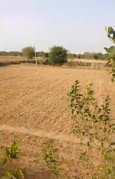 135/7, Raiseena, Haryana 122102, India