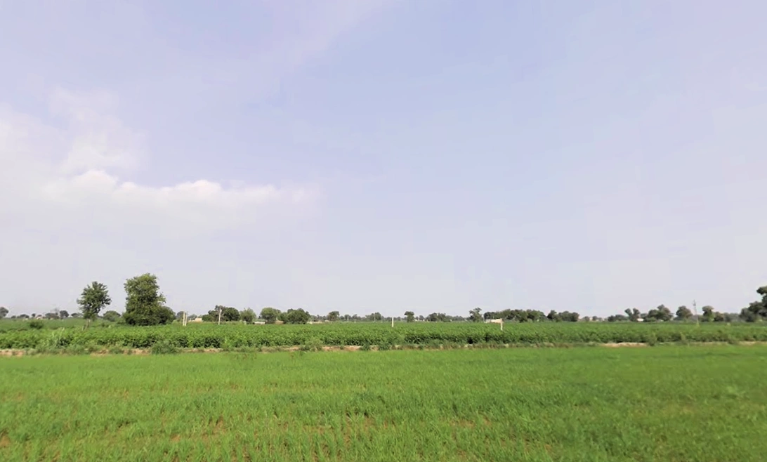 Sirsa, Haryana, India