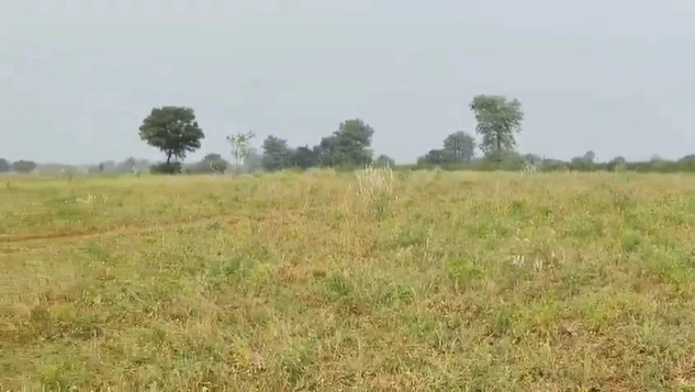 Kadoli, Khandwa, Madhya Pradesh 461441, India