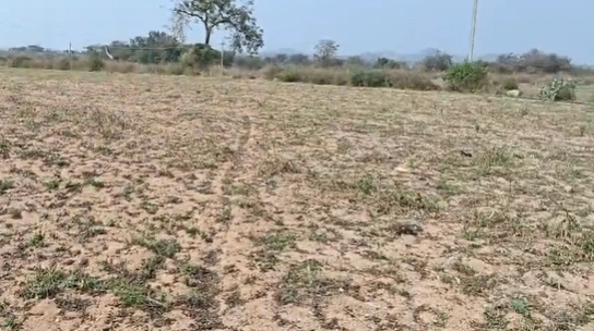 Chowdarpally, Telangana 509002, India preview 2