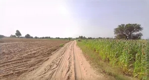 Ujjain, Madhya Pradesh, India preview 3