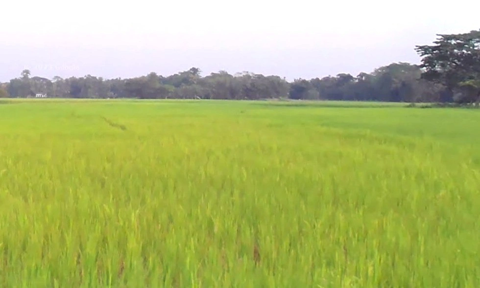 Shajapur, Madhya Pradesh 465001, India