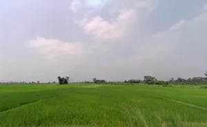 9V4R+WJ, Phultakiya, Bihar 843125, India preview 3