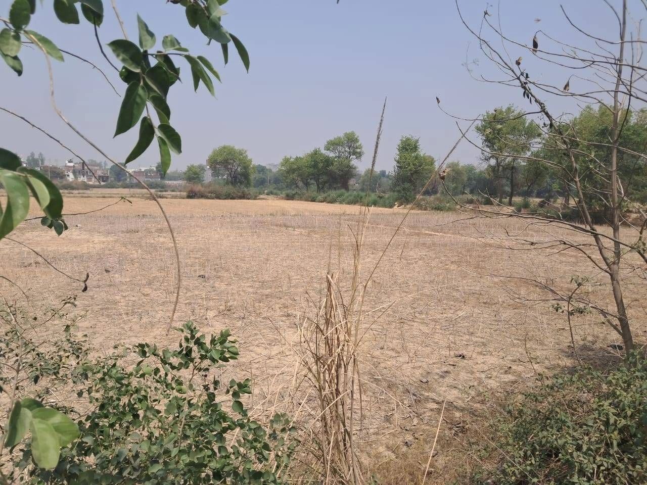 Chidwai, Rajasthan 301026, India preview 3