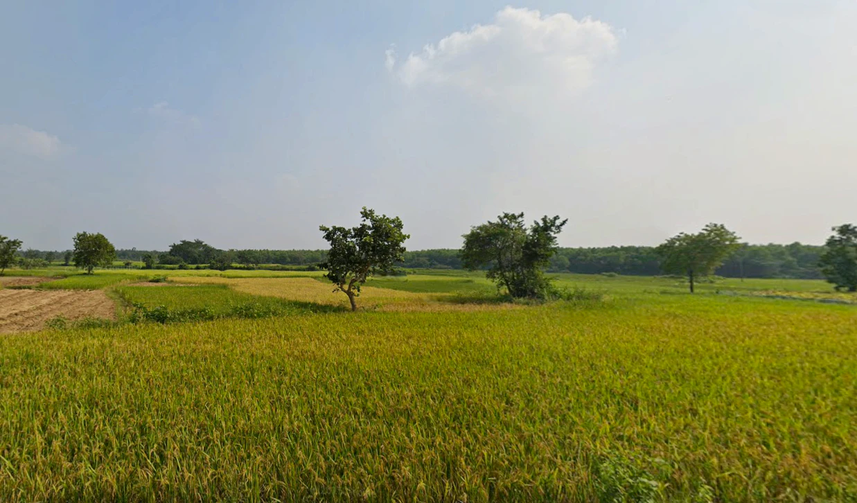 Duttapukur - Nilganj Rd, Kashim Pur, Duttapukur, Gangapur, Shibalaya, West Bengal 743248, India