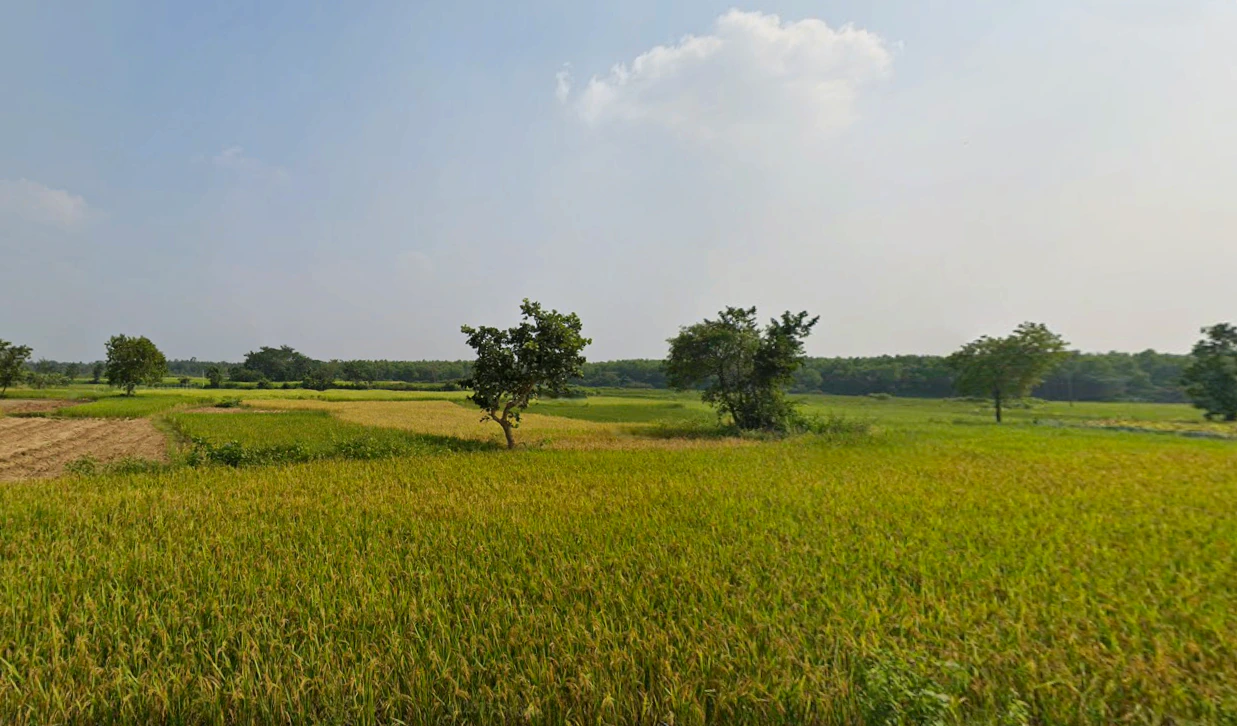 Duttapukur - Nilganj Rd, Kashim Pur, Duttapukur, Gangapur, Shibalaya, West Bengal 743248, India