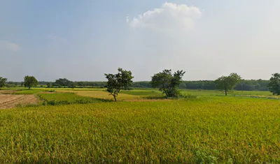 Duttapukur - Nilganj Rd, Kashim Pur, Duttapukur, Gangapur, Shibalaya, West Bengal 743248, India preview 3